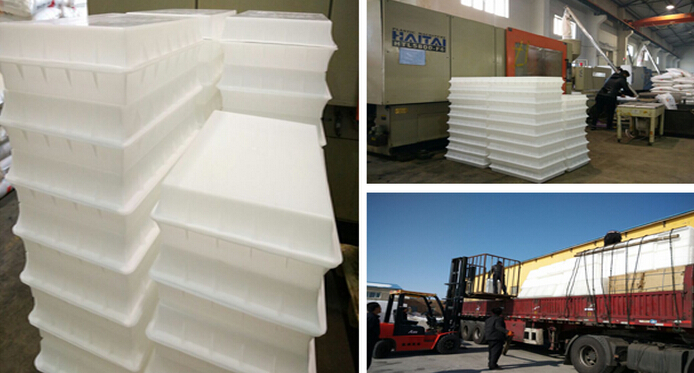 新疆福吉亞 新疆福吉亞